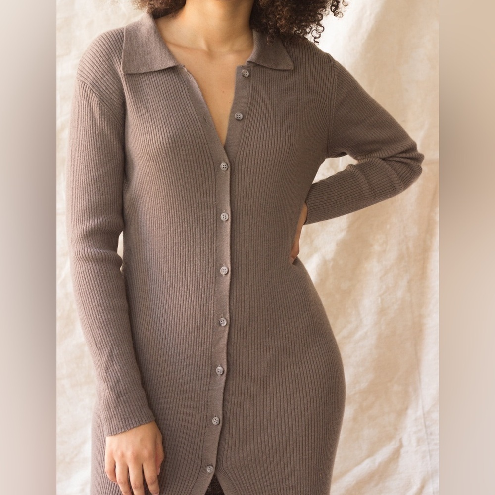 Aritzia Wilfred Cove Dress